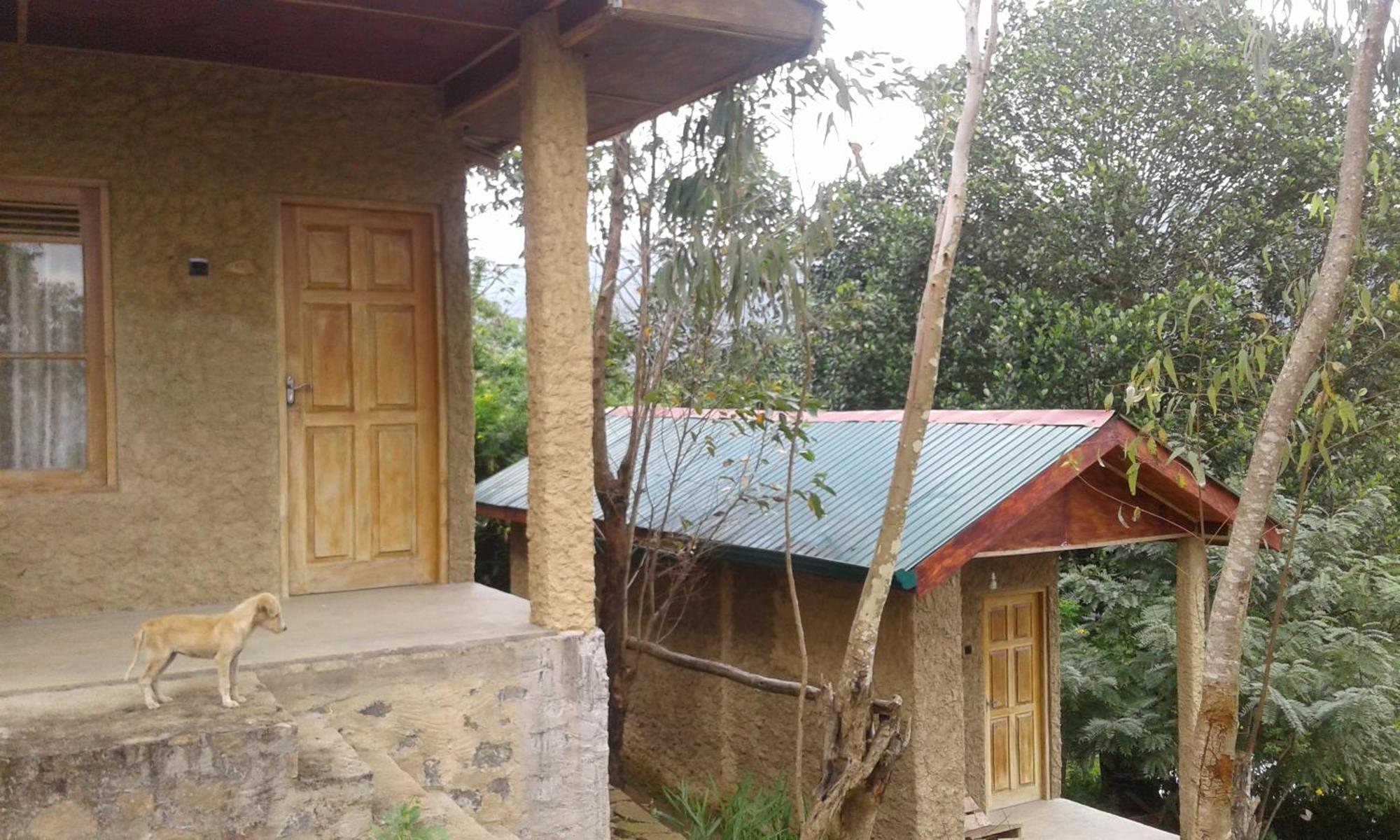 Dew Drop Resort Ella Exterior foto
